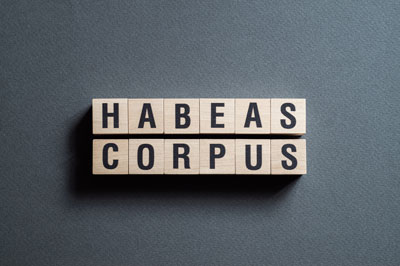 writ_of_habeas_corpus_investigations.jpg